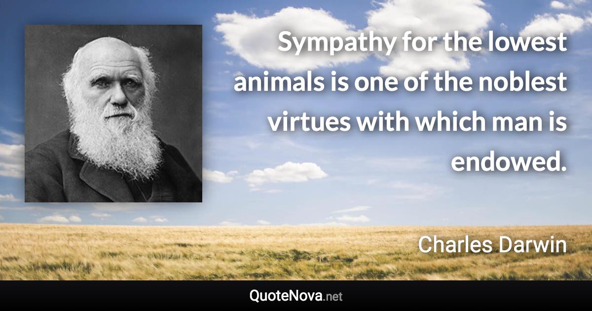 Sympathy for the lowest animals is one of the noblest virtues with which man is endowed. - Charles Darwin quote