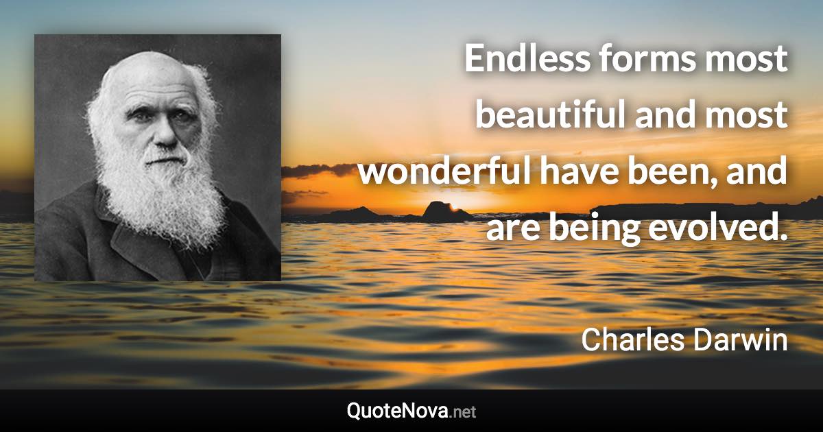 Endless forms most beautiful and most wonderful have been, and are being evolved. - Charles Darwin quote