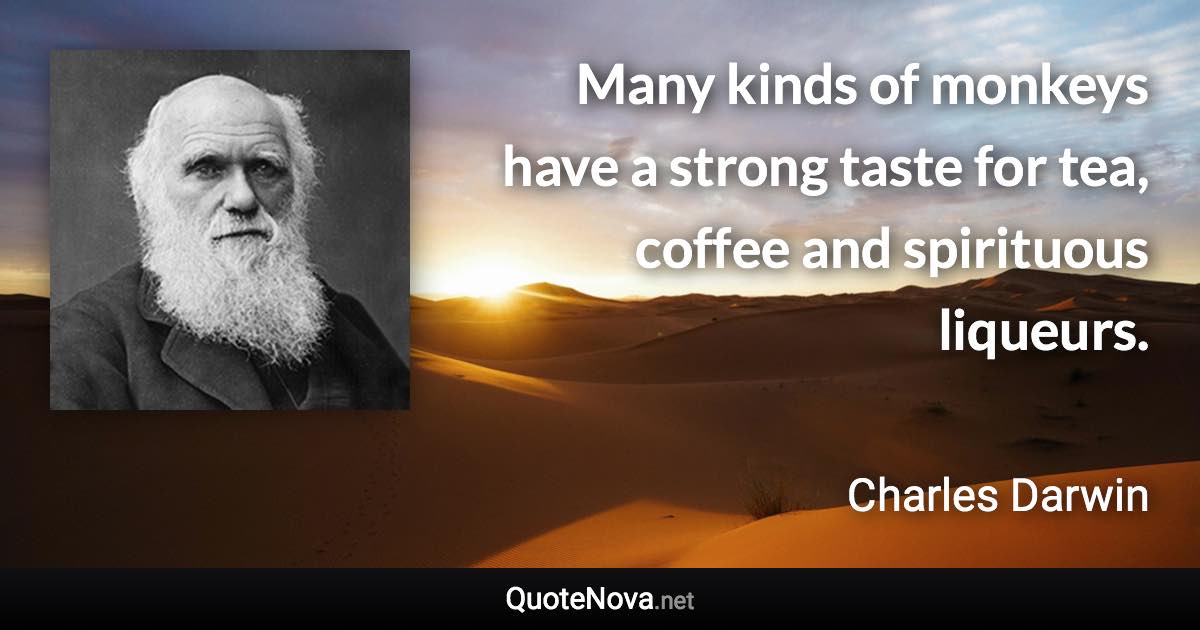 Many kinds of monkeys have a strong taste for tea, coffee and spirituous liqueurs. - Charles Darwin quote