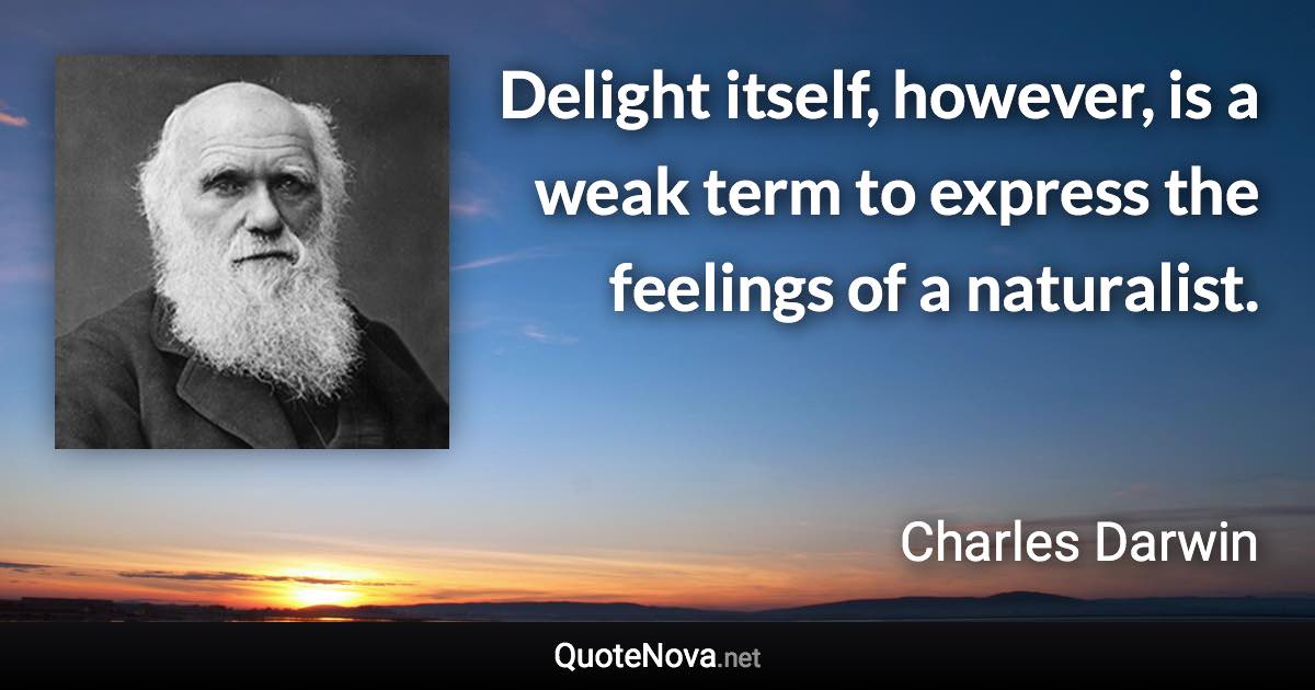 Delight itself, however, is a weak term to express the feelings of a naturalist. - Charles Darwin quote