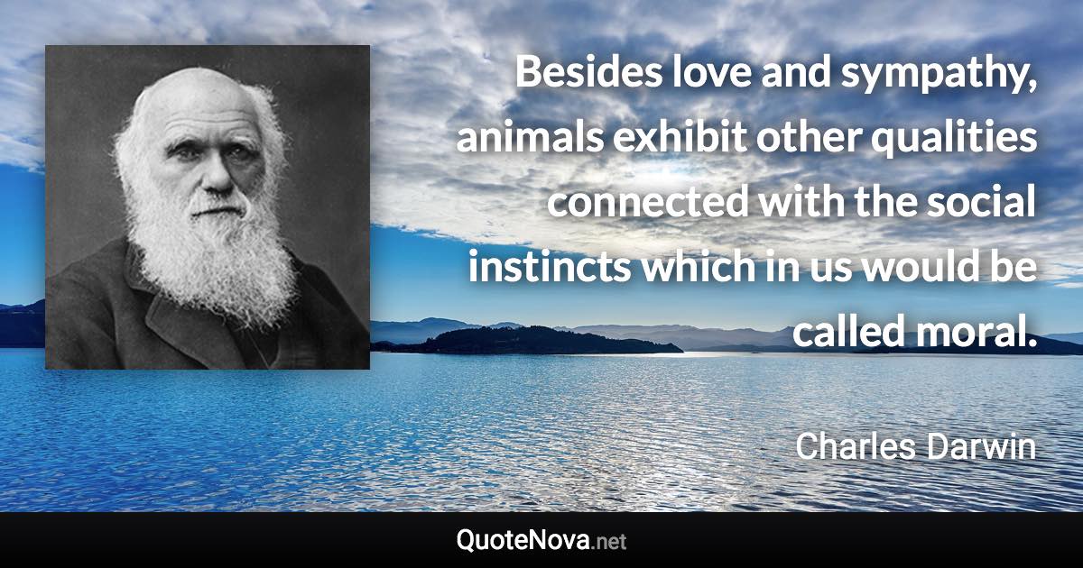 Besides love and sympathy, animals exhibit other qualities connected with the social instincts which in us would be called moral. - Charles Darwin quote