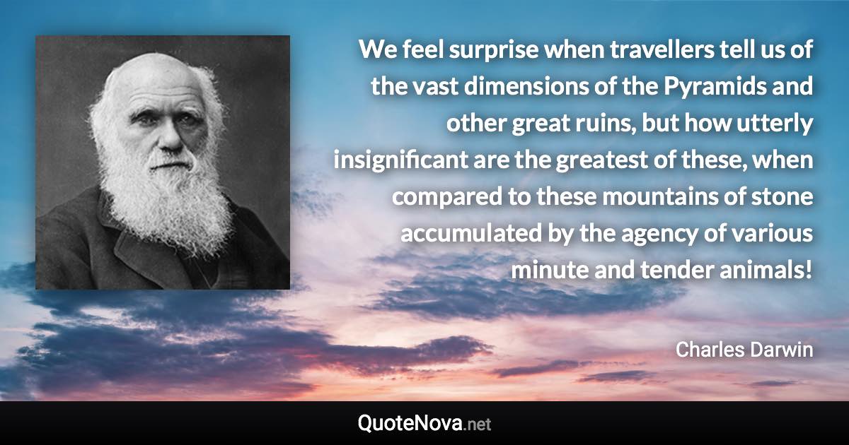 We feel surprise when travellers tell us of the vast dimensions of the Pyramids and other great ruins, but how utterly insignificant are the greatest of these, when compared to these mountains of stone accumulated by the agency of various minute and tender animals! - Charles Darwin quote