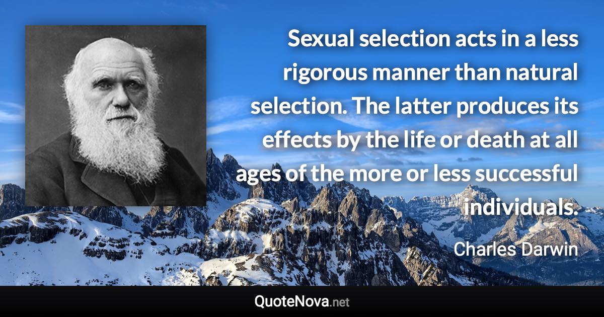 Sexual selection acts in a less rigorous manner than natural selection. The latter produces its effects by the life or death at all ages of the more or less successful individuals. - Charles Darwin quote