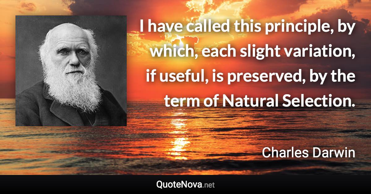 I have called this principle, by which, each slight variation, if useful, is preserved, by the term of Natural Selection. - Charles Darwin quote