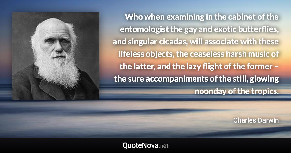 Who when examining in the cabinet of the entomologist the gay and exotic butterflies, and singular cicadas, will associate with these lifeless objects, the ceaseless harsh music of the latter, and the lazy flight of the former – the sure accompaniments of the still, glowing noonday of the tropics. - Charles Darwin quote