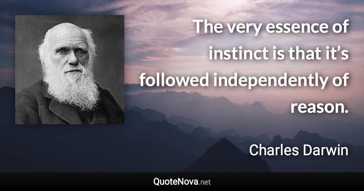 The very essence of instinct is that it’s followed independently of reason. - Charles Darwin quote