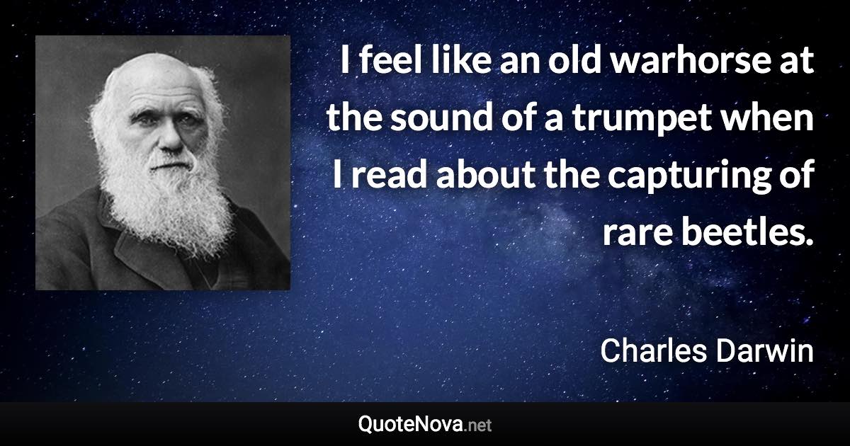 I feel like an old warhorse at the sound of a trumpet when I read about the capturing of rare beetles. - Charles Darwin quote