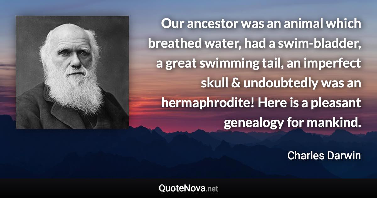 Our ancestor was an animal which breathed water, had a swim-bladder, a great swimming tail, an imperfect skull & undoubtedly was an hermaphrodite! Here is a pleasant genealogy for mankind. - Charles Darwin quote