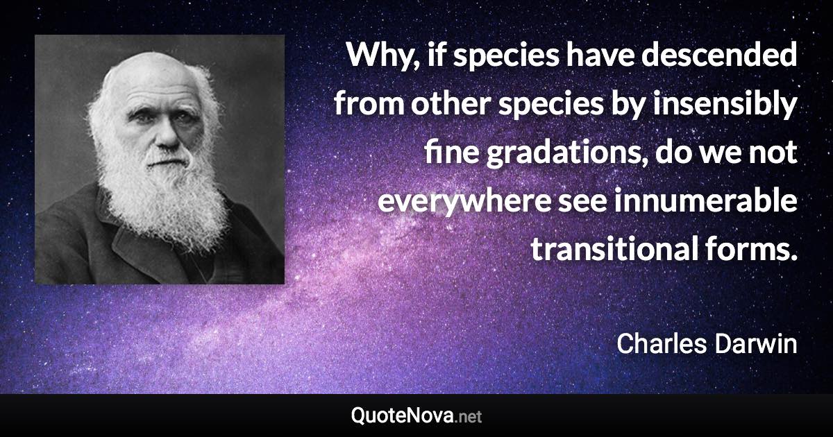 Why, if species have descended from other species by insensibly fine gradations, do we not everywhere see innumerable transitional forms. - Charles Darwin quote