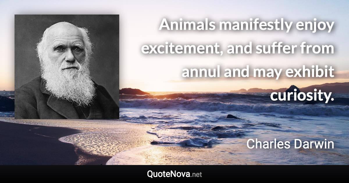 Animals manifestly enjoy excitement, and suffer from annul and may exhibit curiosity. - Charles Darwin quote