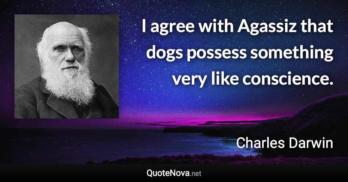 I agree with Agassiz that dogs possess something very like conscience. - Charles Darwin quote