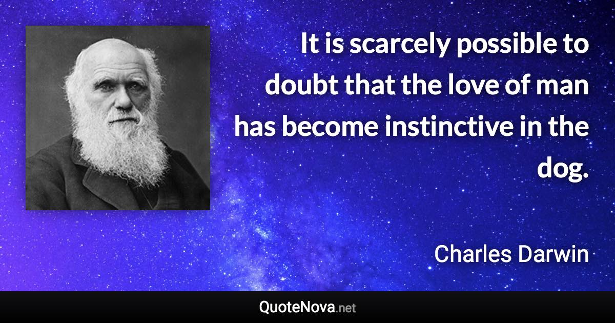 It is scarcely possible to doubt that the love of man has become instinctive in the dog. - Charles Darwin quote