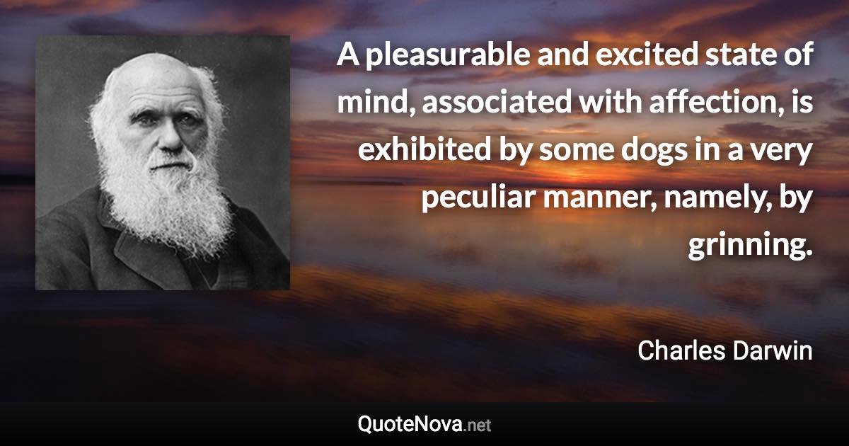 A pleasurable and excited state of mind, associated with affection, is exhibited by some dogs in a very peculiar manner, namely, by grinning. - Charles Darwin quote