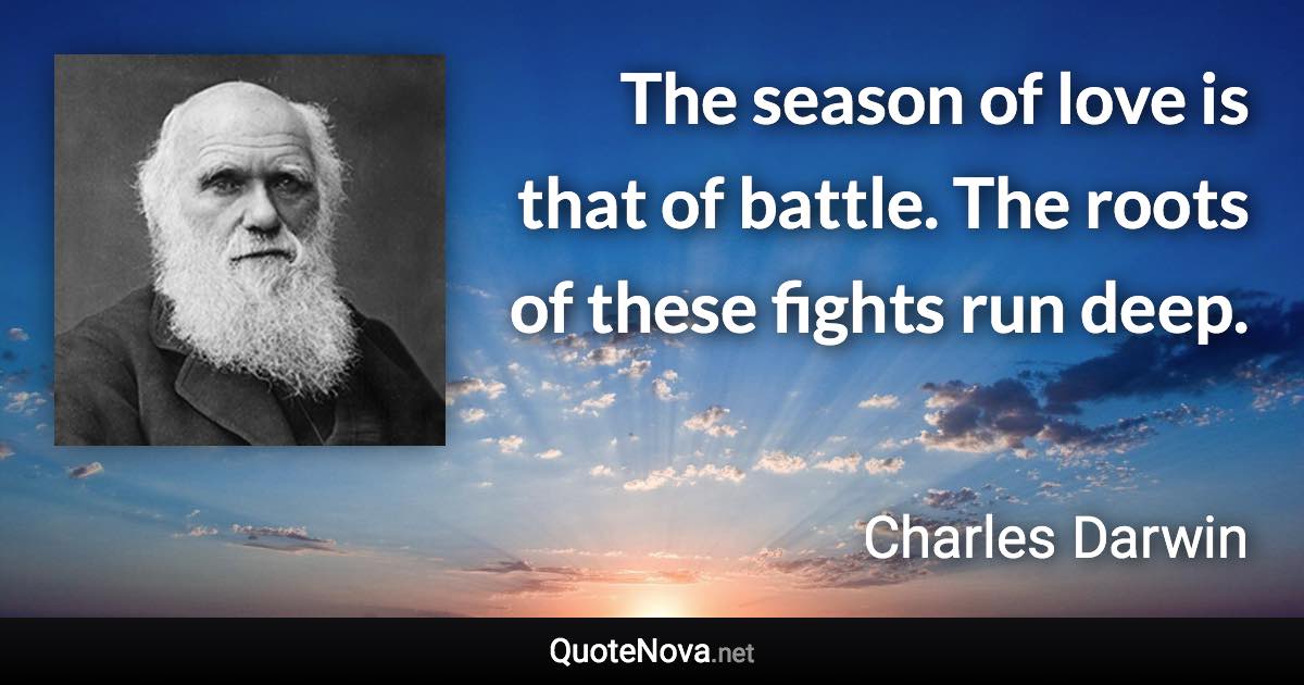 The season of love is that of battle. The roots of these fights run deep. - Charles Darwin quote