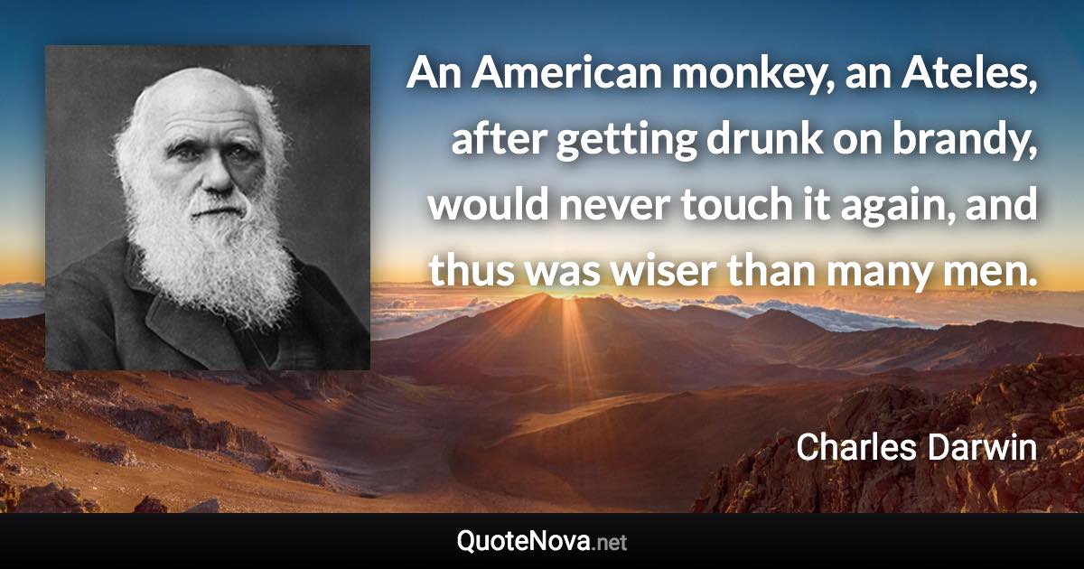 An American monkey, an Ateles, after getting drunk on brandy, would never touch it again, and thus was wiser than many men. - Charles Darwin quote
