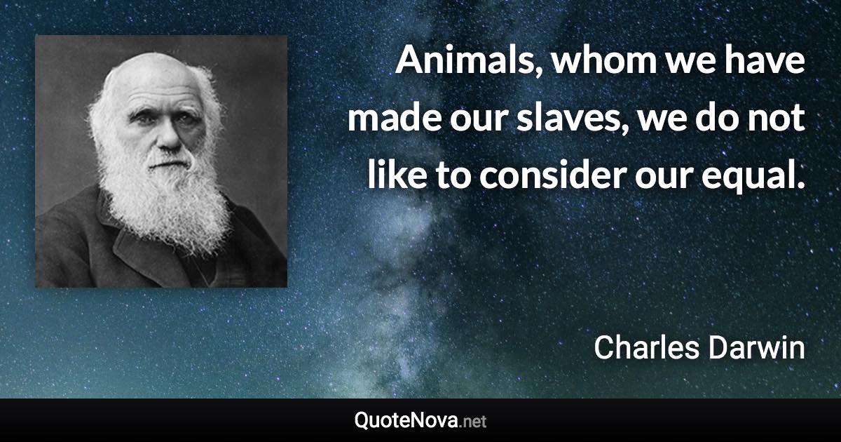 Animals, whom we have made our slaves, we do not like to consider our equal. - Charles Darwin quote