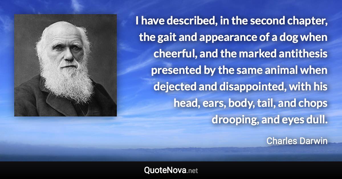 I have described, in the second chapter, the gait and appearance of a dog when cheerful, and the marked antithesis presented by the same animal when dejected and disappointed, with his head, ears, body, tail, and chops drooping, and eyes dull. - Charles Darwin quote