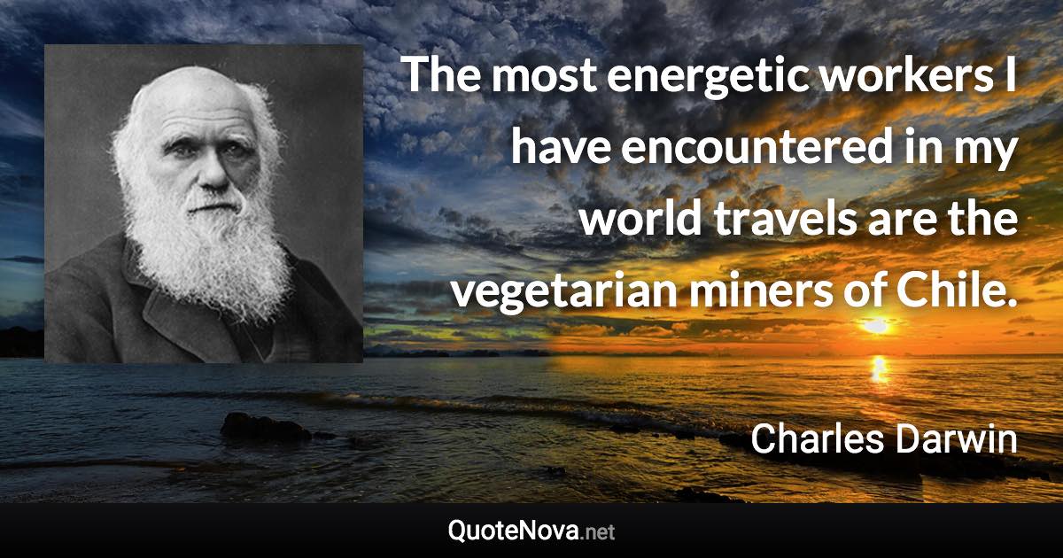 The most energetic workers I have encountered in my world travels are the vegetarian miners of Chile. - Charles Darwin quote