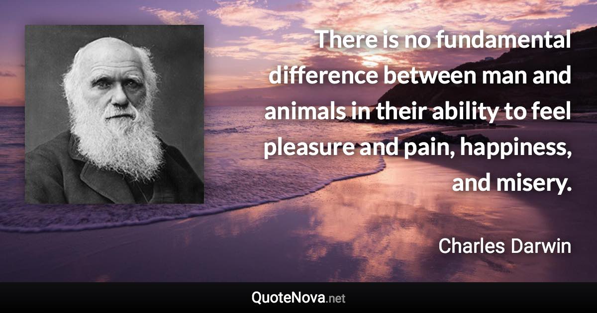 There is no fundamental difference between man and animals in their ability to feel pleasure and pain, happiness, and misery. - Charles Darwin quote