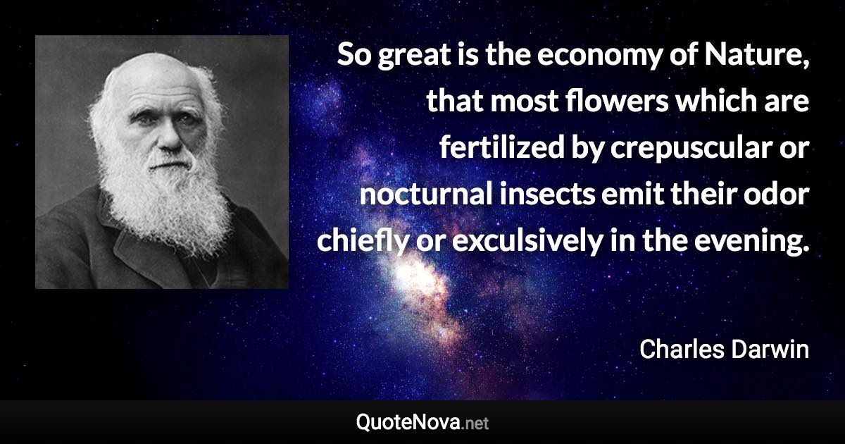 So great is the economy of Nature, that most flowers which are fertilized by crepuscular or nocturnal insects emit their odor chiefly or exculsively in the evening. - Charles Darwin quote