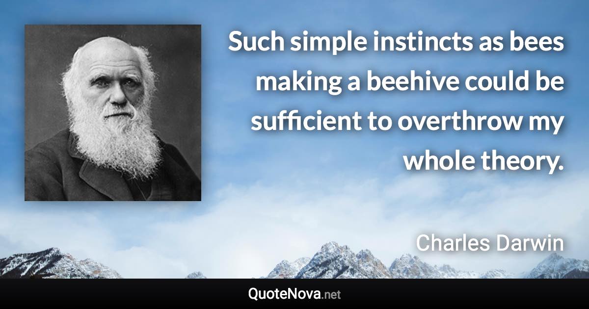 Such simple instincts as bees making a beehive could be sufficient to overthrow my whole theory. - Charles Darwin quote