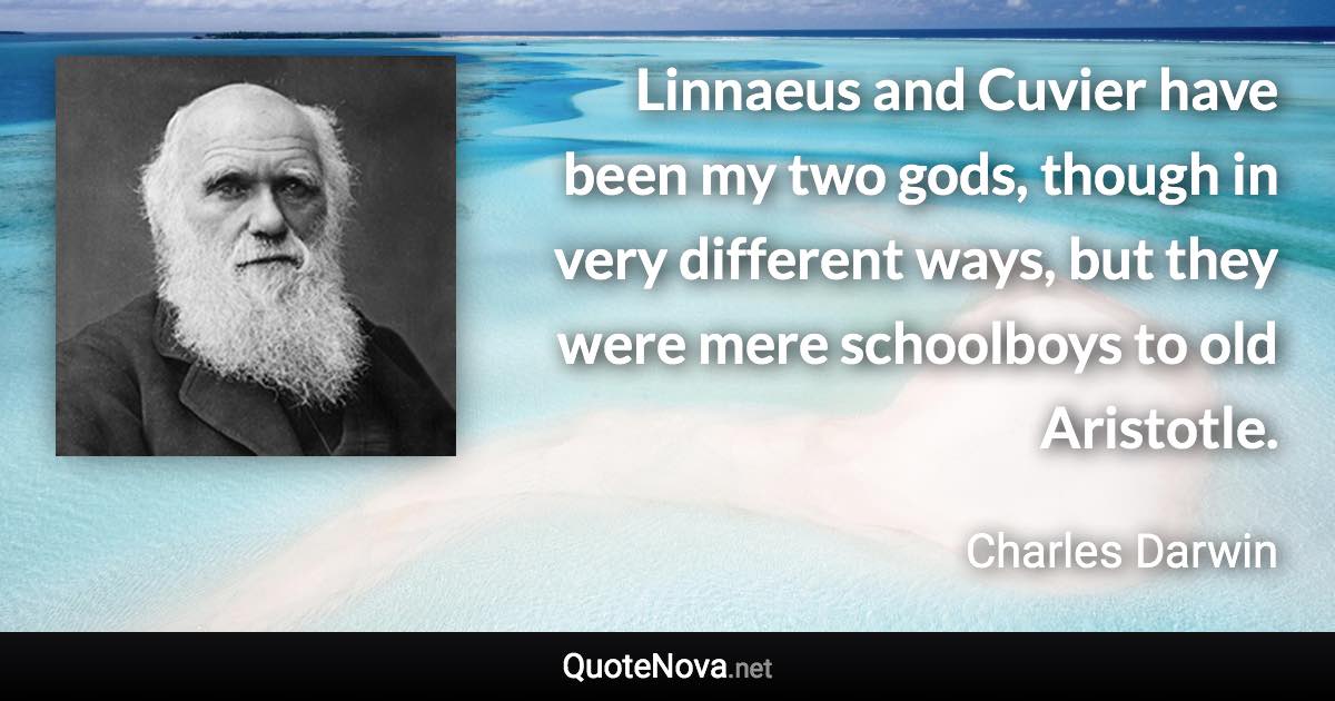 Linnaeus and Cuvier have been my two gods, though in very different ways, but they were mere schoolboys to old Aristotle. - Charles Darwin quote