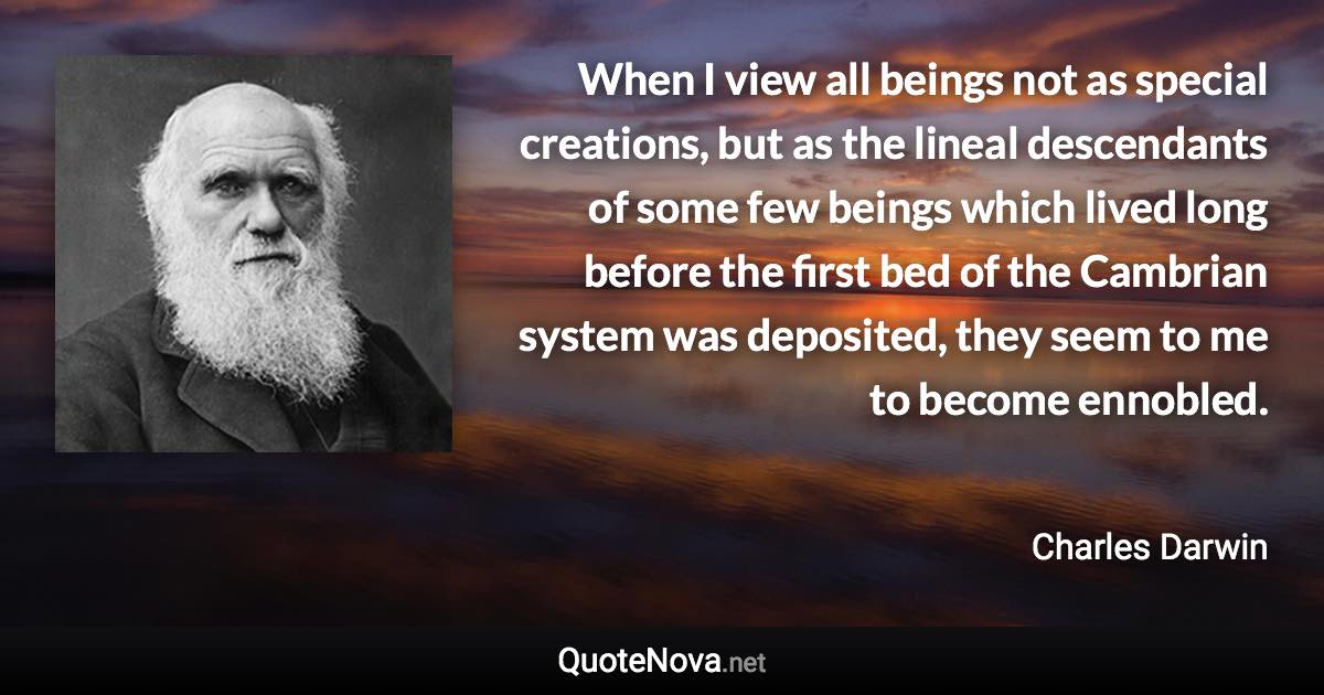 When I view all beings not as special creations, but as the lineal descendants of some few beings which lived long before the first bed of the Cambrian system was deposited, they seem to me to become ennobled. - Charles Darwin quote