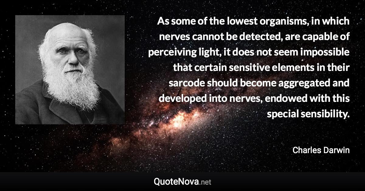 As some of the lowest organisms, in which nerves cannot be detected, are capable of perceiving light, it does not seem impossible that certain sensitive elements in their sarcode should become aggregated and developed into nerves, endowed with this special sensibility. - Charles Darwin quote