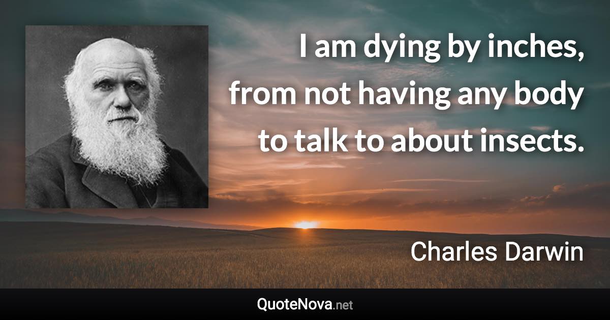 I am dying by inches, from not having any body to talk to about insects. - Charles Darwin quote