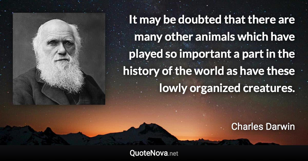 It may be doubted that there are many other animals which have played so important a part in the history of the world as have these lowly organized creatures. - Charles Darwin quote