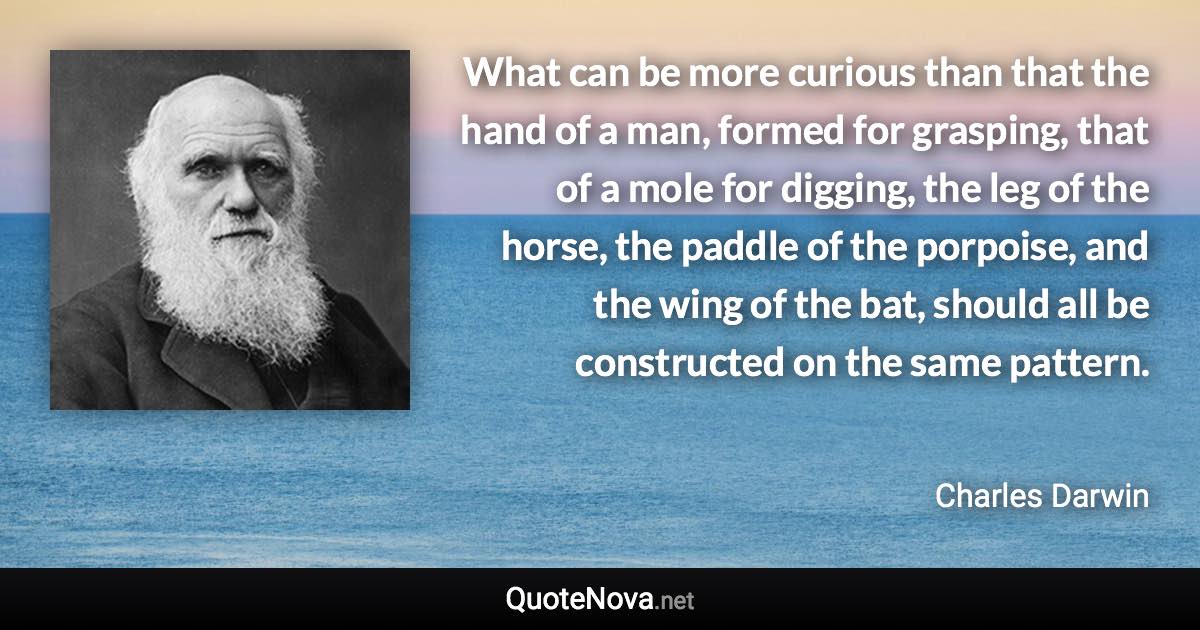 What can be more curious than that the hand of a man, formed for grasping, that of a mole for digging, the leg of the horse, the paddle of the porpoise, and the wing of the bat, should all be constructed on the same pattern. - Charles Darwin quote