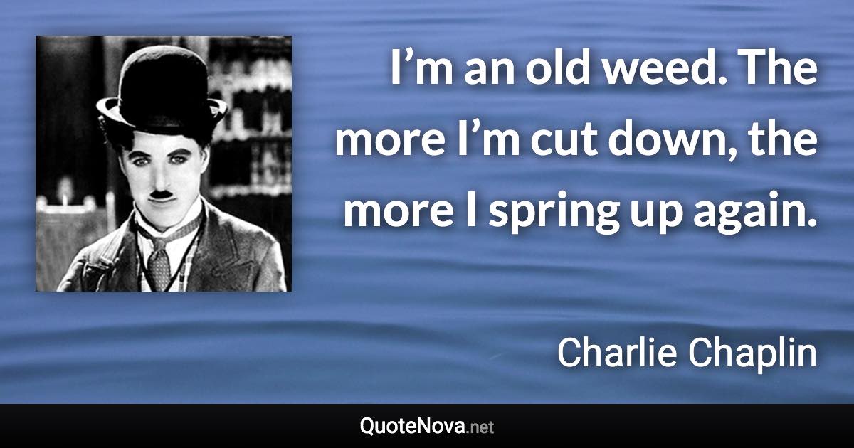 I’m an old weed. The more I’m cut down, the more I spring up again. - Charlie Chaplin quote