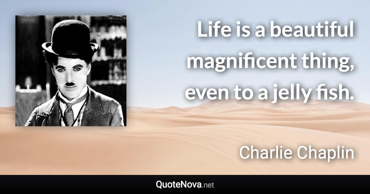 Life is a beautiful magnificent thing, even to a jelly fish. - Charlie Chaplin quote