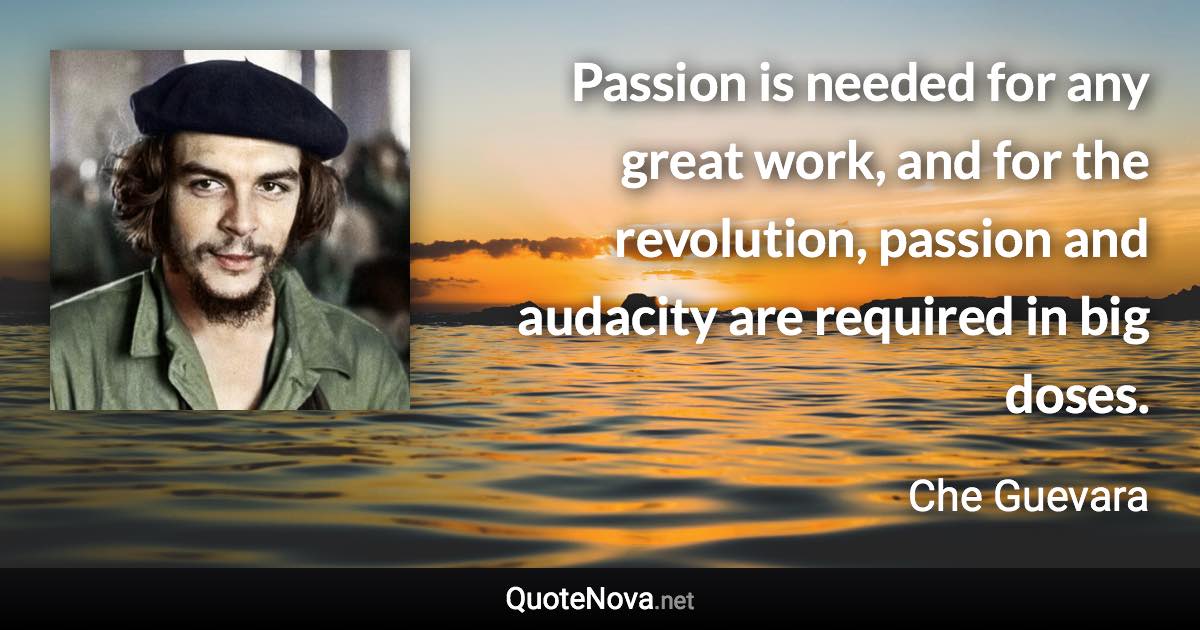 Passion is needed for any great work, and for the revolution, passion and audacity are required in big doses. - Che Guevara quote