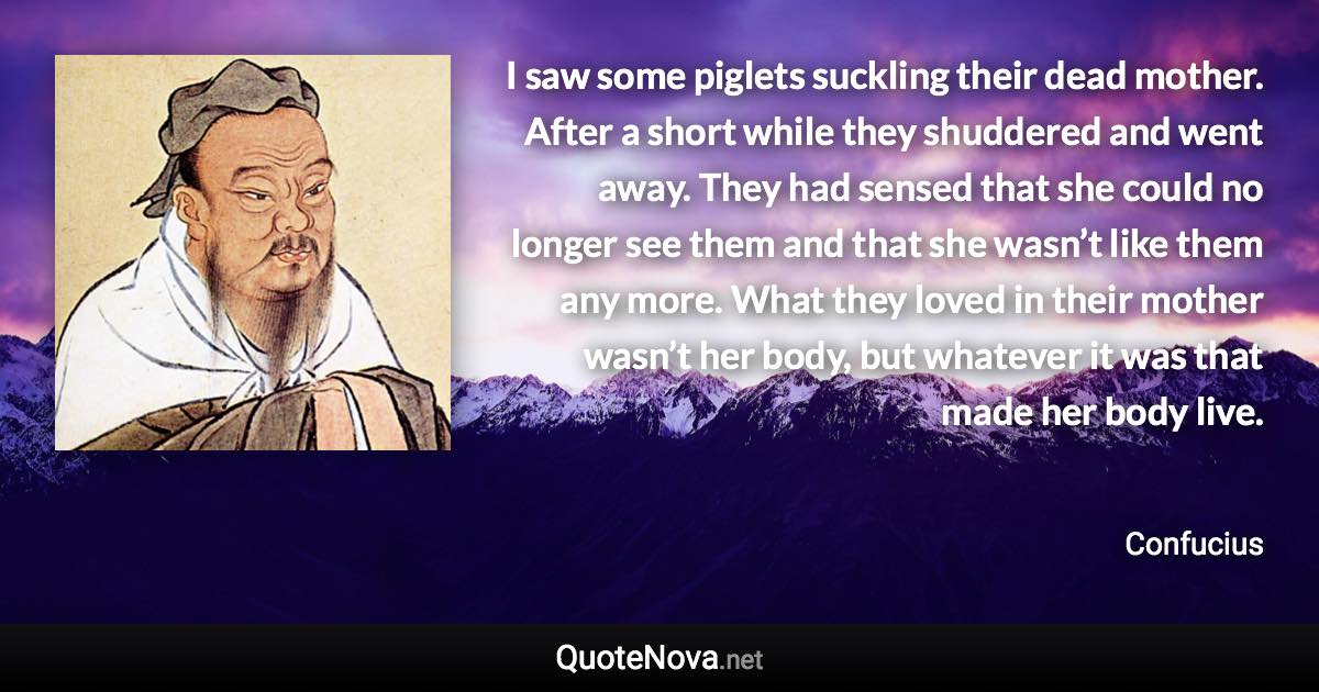 I saw some piglets suckling their dead mother. After a short while they shuddered and went away. They had sensed that she could no longer see them and that she wasn’t like them any more. What they loved in their mother wasn’t her body, but whatever it was that made her body live. - Confucius quote