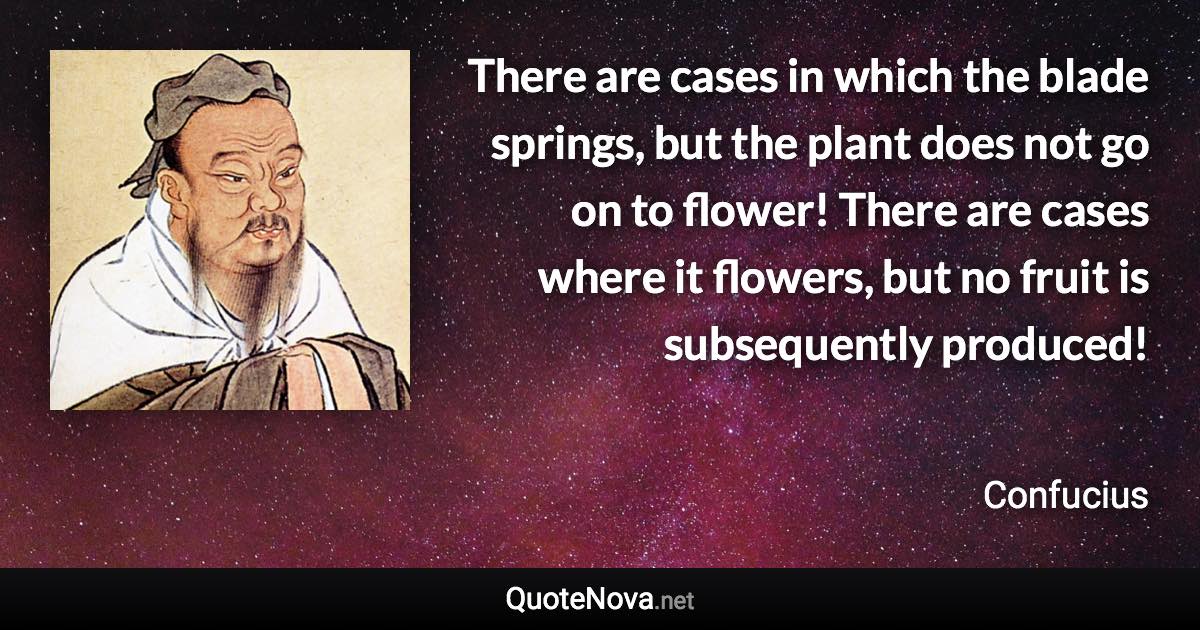 There are cases in which the blade springs, but the plant does not go on to flower! There are cases where it flowers, but no fruit is subsequently produced! - Confucius quote