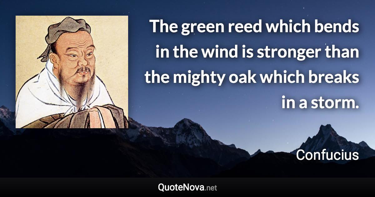 The green reed which bends in the wind is stronger than the mighty oak which breaks in a storm. - Confucius quote