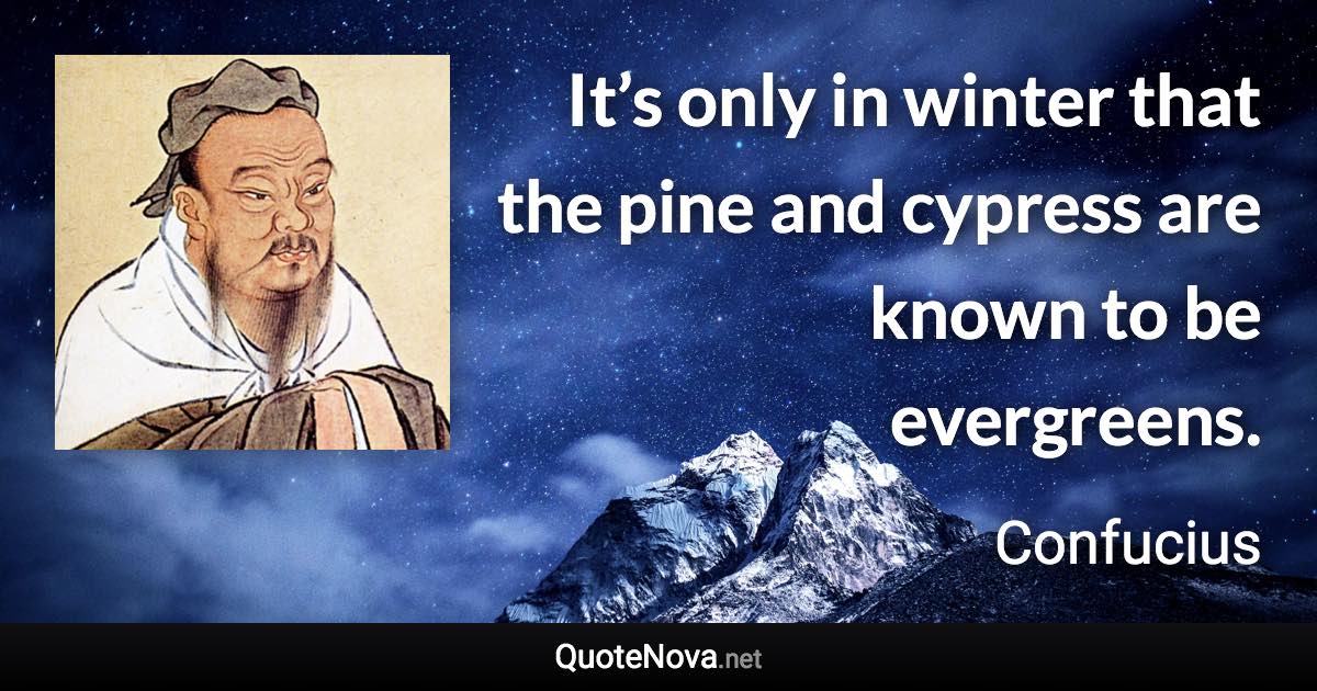 It’s only in winter that the pine and cypress are known to be evergreens. - Confucius quote