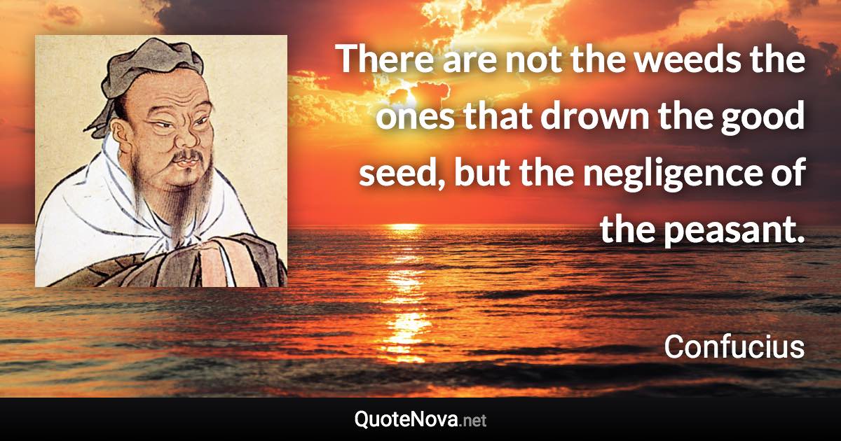 There are not the weeds the ones that drown the good seed, but the negligence of the peasant. - Confucius quote