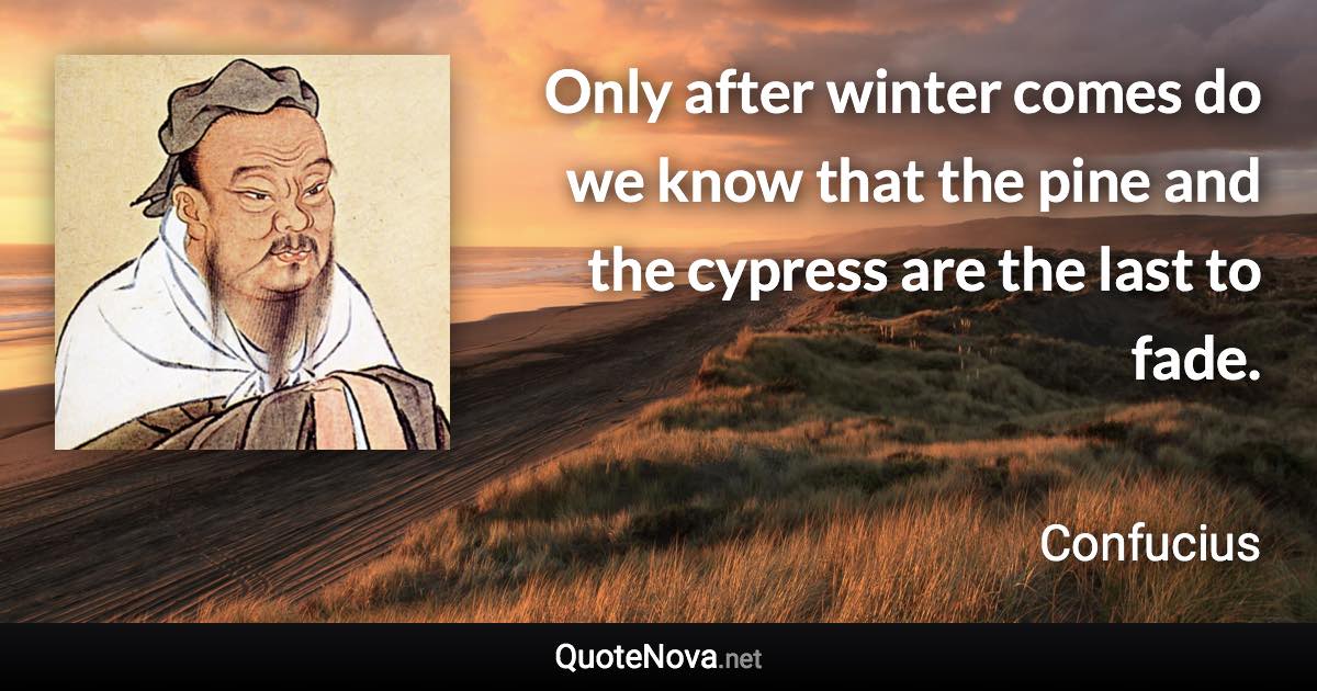 Only after winter comes do we know that the pine and the cypress are the last to fade. - Confucius quote