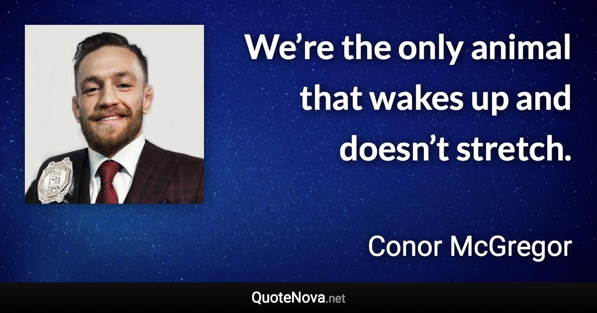 We’re the only animal that wakes up and doesn’t stretch. - Conor McGregor quote