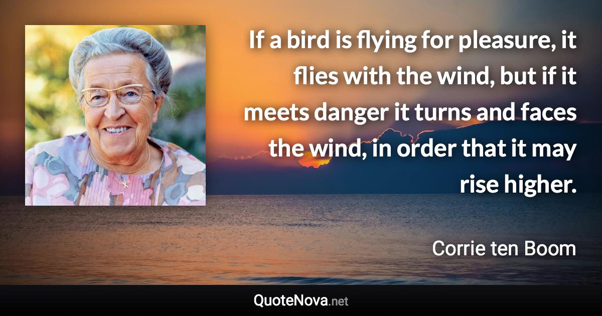 If a bird is flying for pleasure, it flies with the wind, but if it meets danger it turns and faces the wind, in order that it may rise higher. - Corrie ten Boom quote