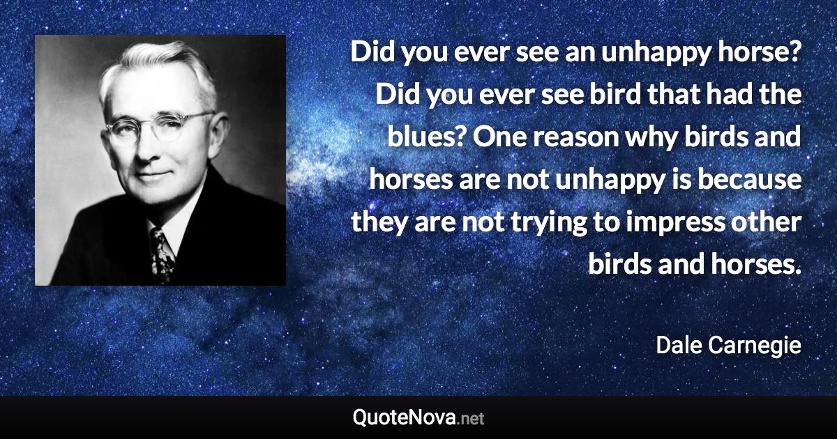 Did you ever see an unhappy horse? Did you ever see bird that had the blues? One reason why birds and horses are not unhappy is because they are not trying to impress other birds and horses. - Dale Carnegie quote