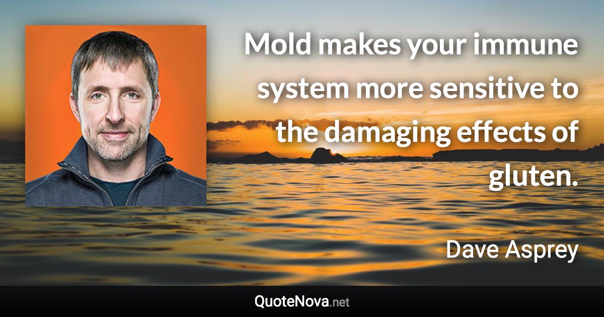 Mold makes your immune system more sensitive to the damaging effects of gluten. - Dave Asprey quote
