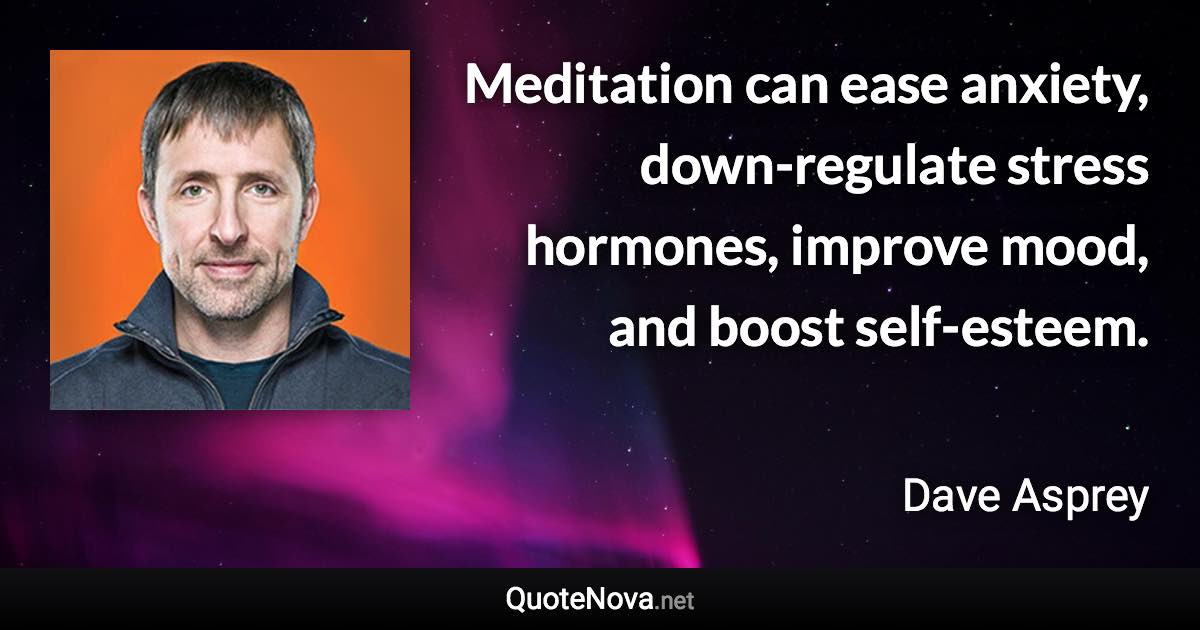 Meditation can ease anxiety, down-regulate stress hormones, improve mood, and boost self-esteem. - Dave Asprey quote