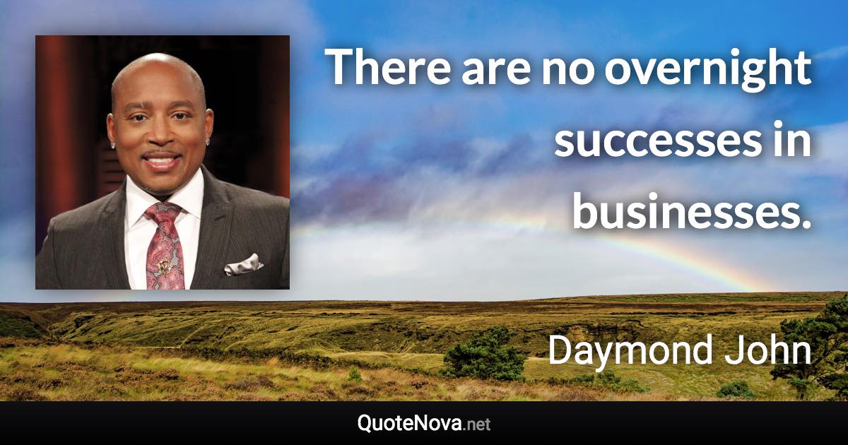 There are no overnight successes in businesses. - Daymond John quote
