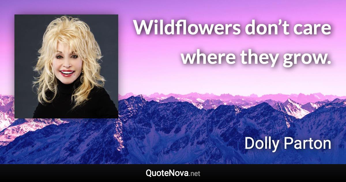 Wildflowers don’t care where they grow. - Dolly Parton quote