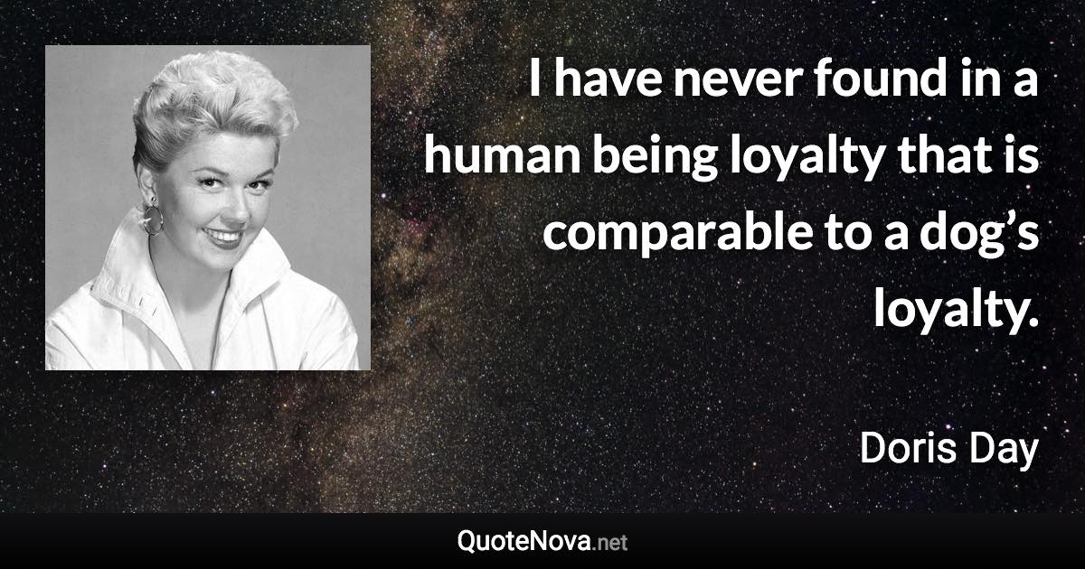 I have never found in a human being loyalty that is comparable to a dog’s loyalty. - Doris Day quote