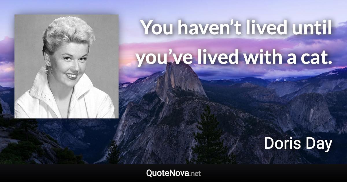 You haven’t lived until you’ve lived with a cat. - Doris Day quote