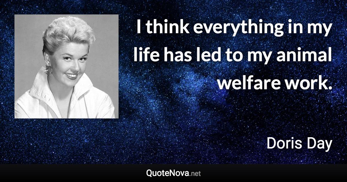 I think everything in my life has led to my animal welfare work. - Doris Day quote